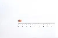OFEV 25 MG CAPSULAS BLANDAS - Imagen 2