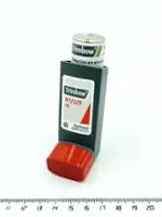 TRIMBOW 87 MICROGRAMOS/5 MICROGRAMOS/9 MICROGRAMOS SOLUCION PARA INHALACION EN ENVASE A PRESION - Imagen 2