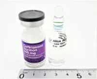 CEFTRIAXONA NORMON 500 MG POLVO Y DISOLVENTE PARA SOLUCIÓN INYECTABLE Y PARA PERFUSION EFG - Imagen 2
