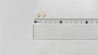 ELECOR 25 mg COMPRIMIDOS RECUBIERTOS CON PELICULA - Imagen 2