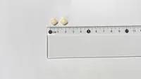 ELECOR 50 mg COMPRIMIDOS RECUBIERTOS CON PELICULA - Imagen 2