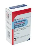 Fotografía del medicamento GIBITER EASYHALER 320 MICROGRAMOS/9 MICROGRAMOS/INHALACION POLVO PARA INHALACION